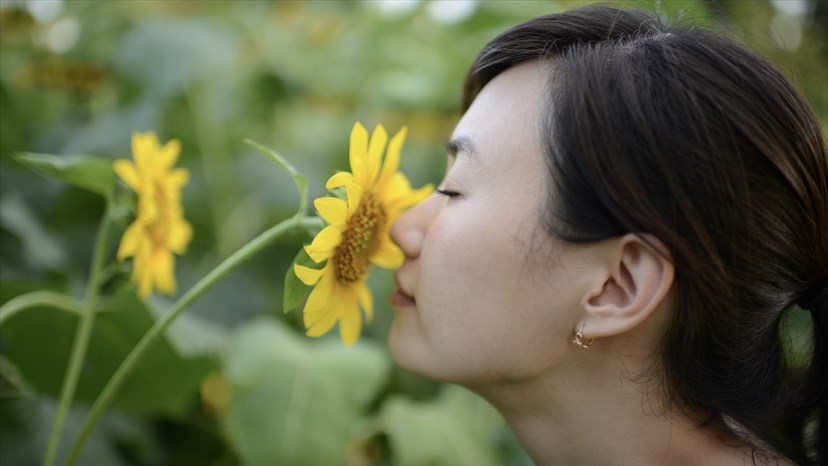 فقدان حس بویایی: علائم، علل و در مان آنوسمی